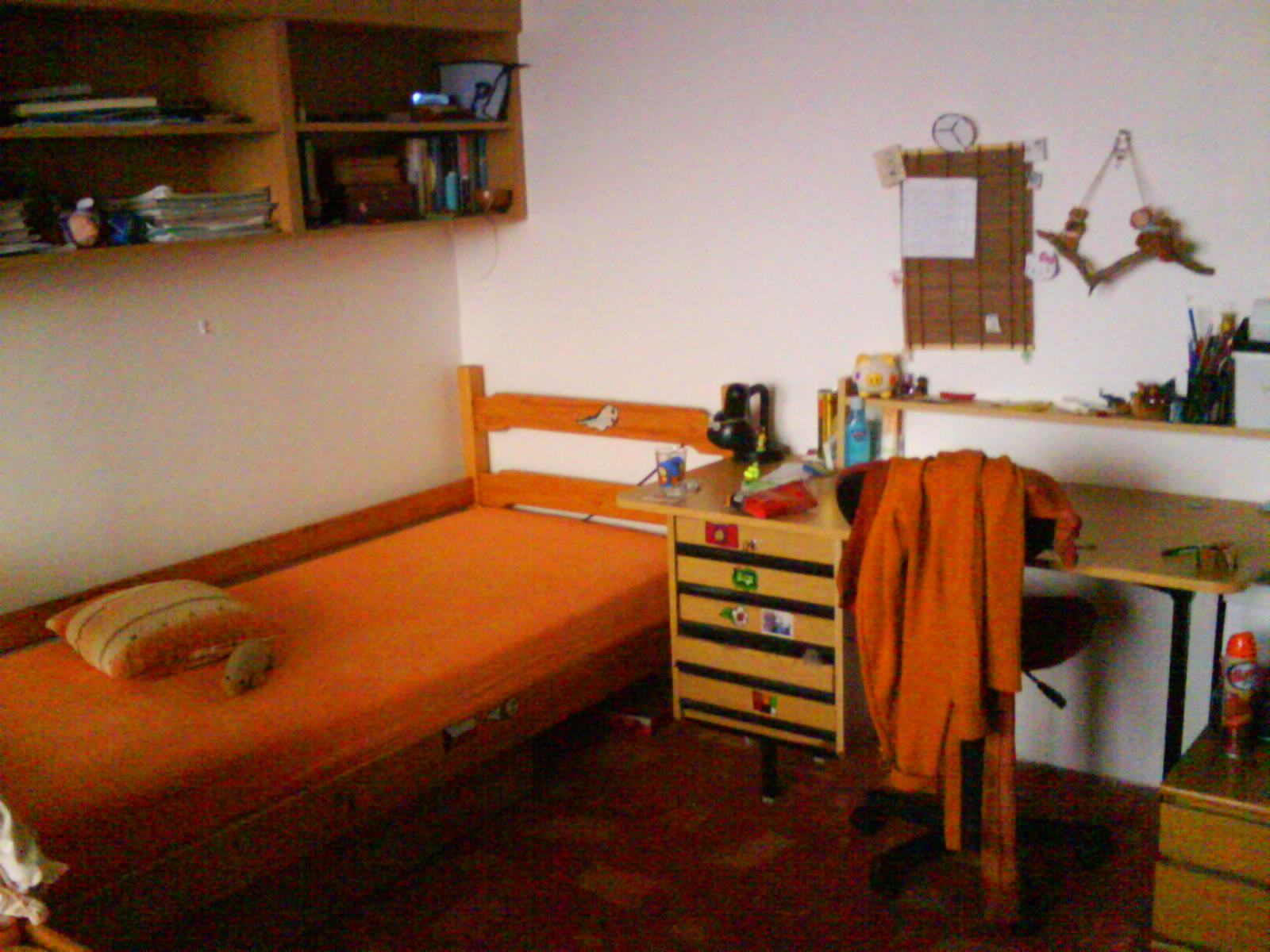 DSC00931.JPG